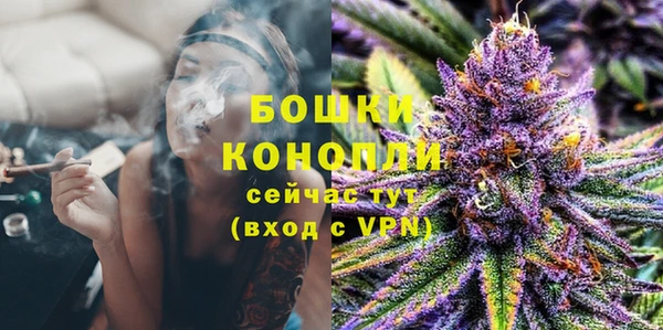 винт Богданович