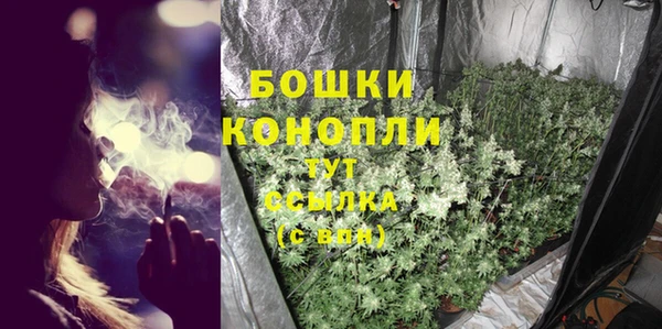 винт Богданович
