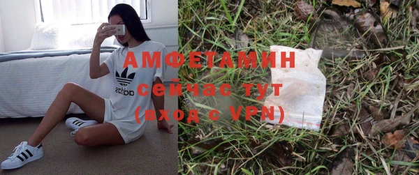 стаф Балахна