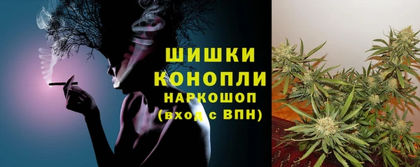 хмурый Богородицк
