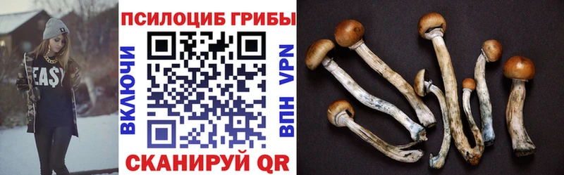 продажа наркотиков  Дигора  Галлюциногенные грибы мухоморы 
